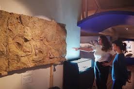 musee nature et patrimoine castellane
