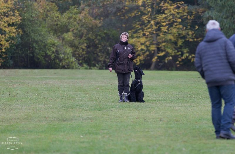 Bianca mit Drago zur BH