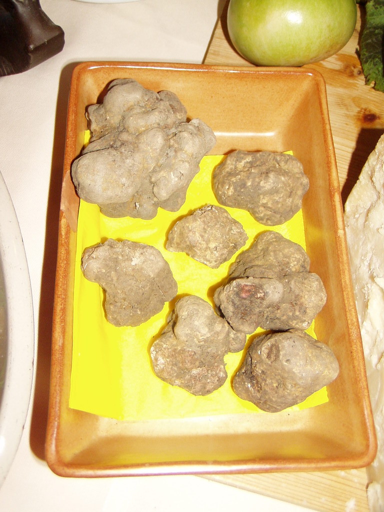 tartufo