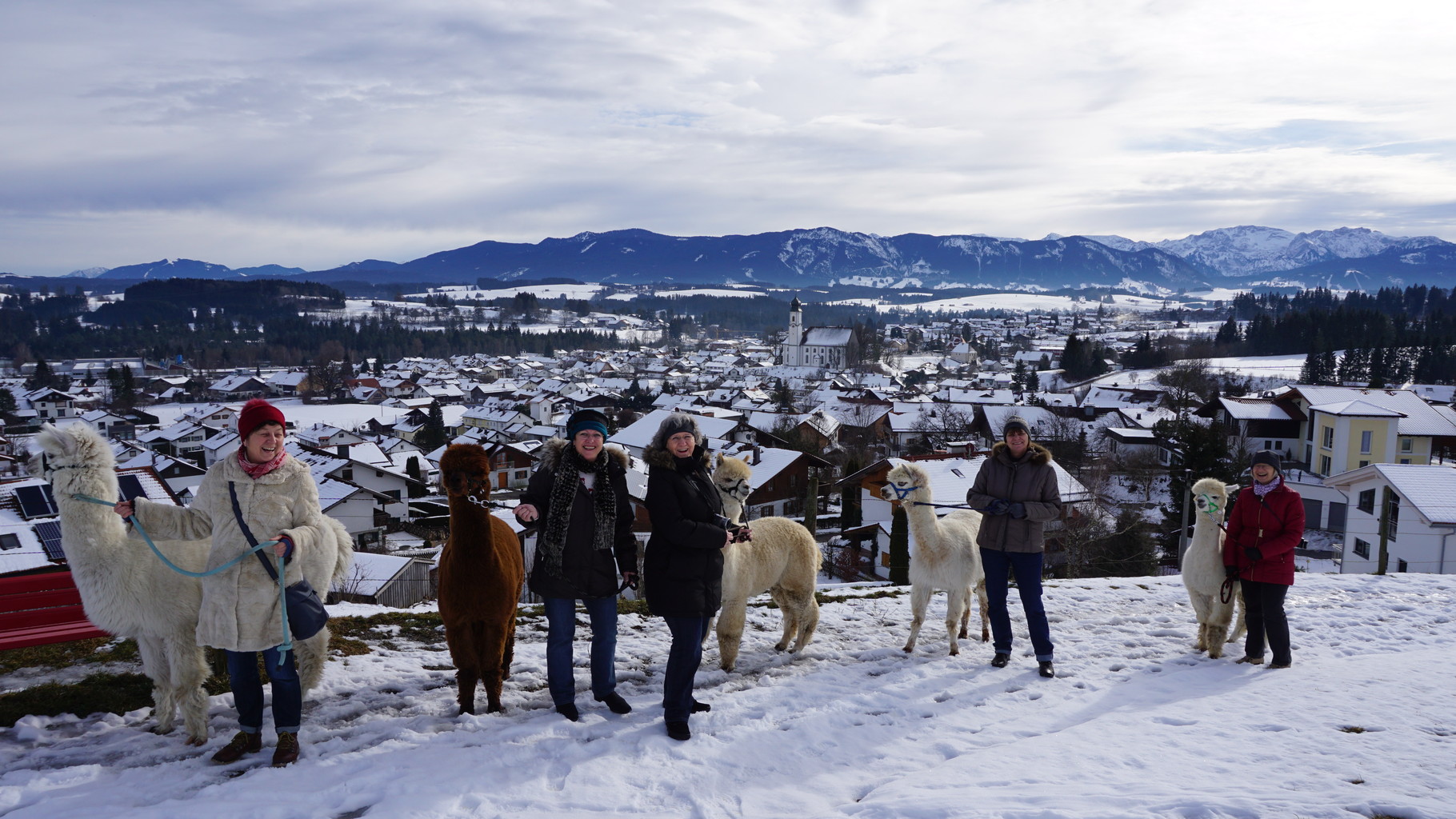 Alpakawanderung auf die Gsteig