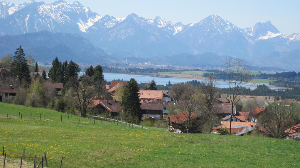 Bergkulisse am Forggensee