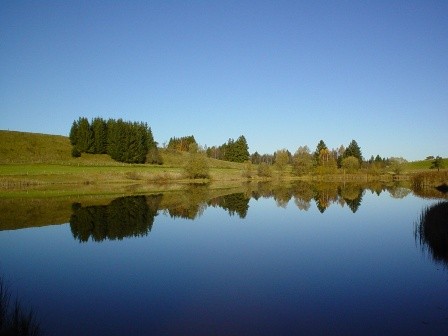 Badewäldlersee
