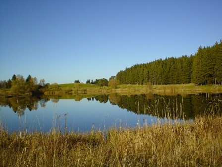 Baderwäldlesee