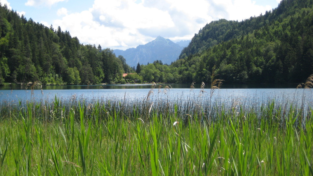 Alatsee