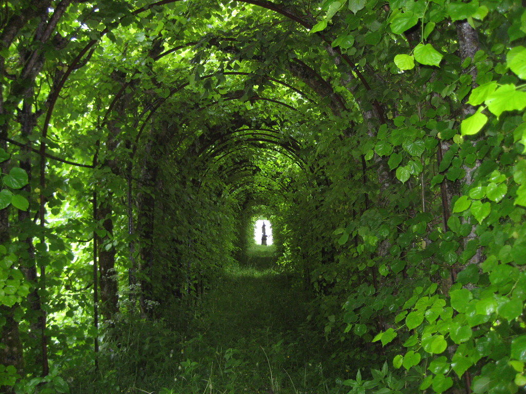Laubengang bei Schloss Linderhof