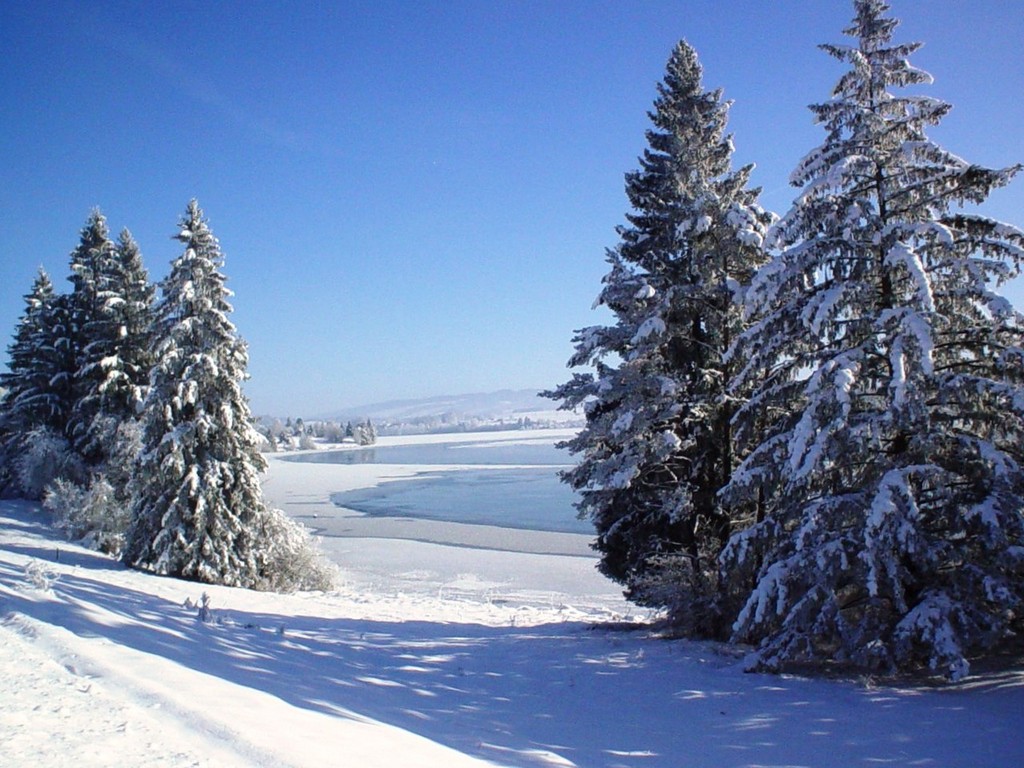 Wintertag am Lechseeufer
