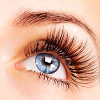 wimpernlifting lash lifting