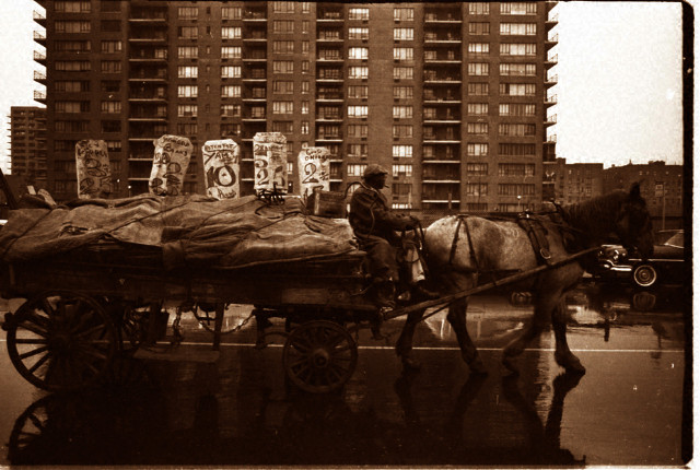THE LAST HORSE IN HARLEM 1959