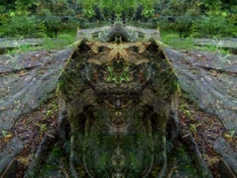 Looking In The Face Of