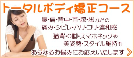 腰痛、肩こり、首痛、膝痛、手のシビレ、足のシビレ、猫背、Ｏ脚、Ｘ脚、スマホネック、ストレートネック、美姿勢、スタイル維持　　歪み矯正、骨盤矯正、姿勢矯正
