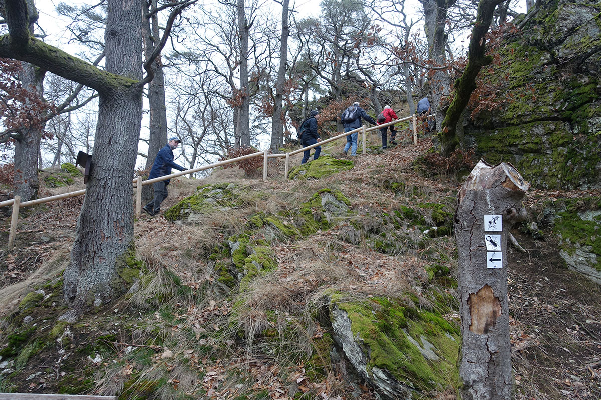Hundertstufenweg