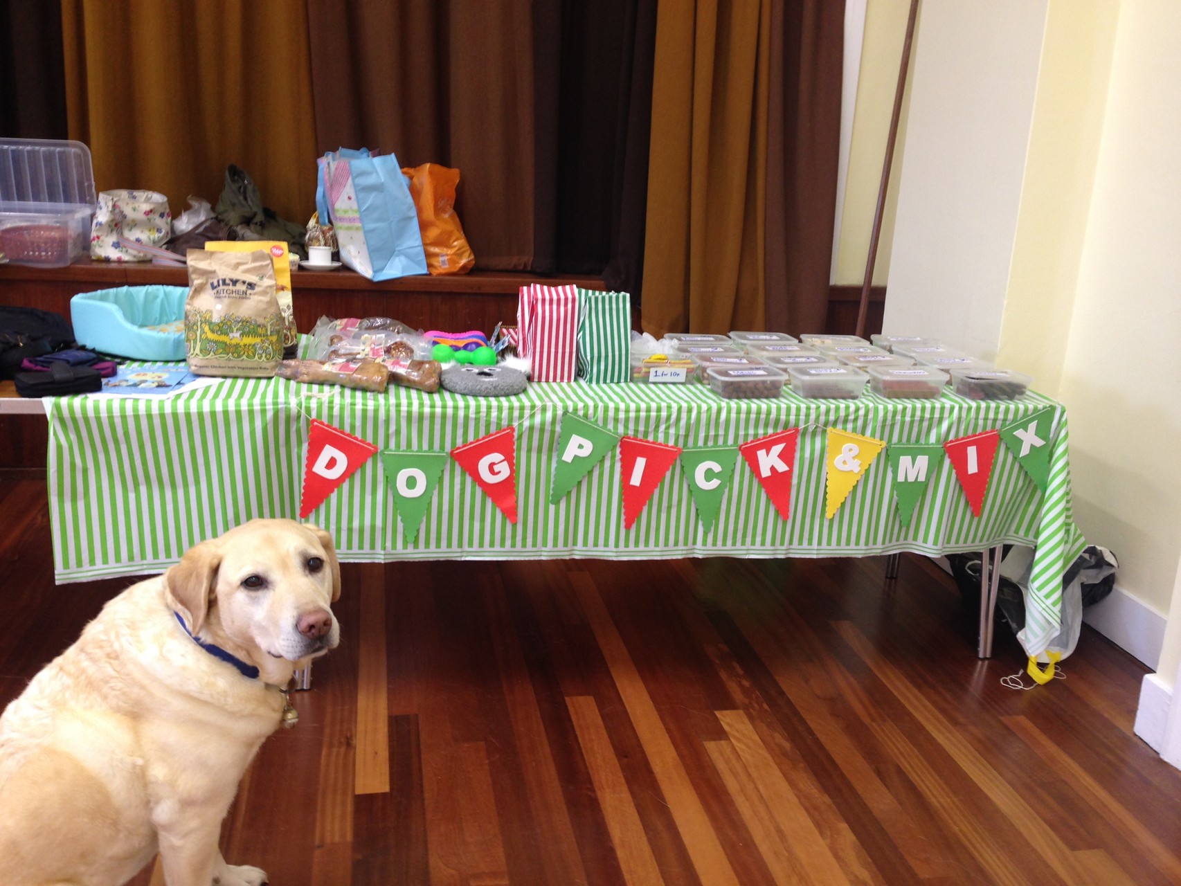 Looking hopeful at the doggy pick and mix stall