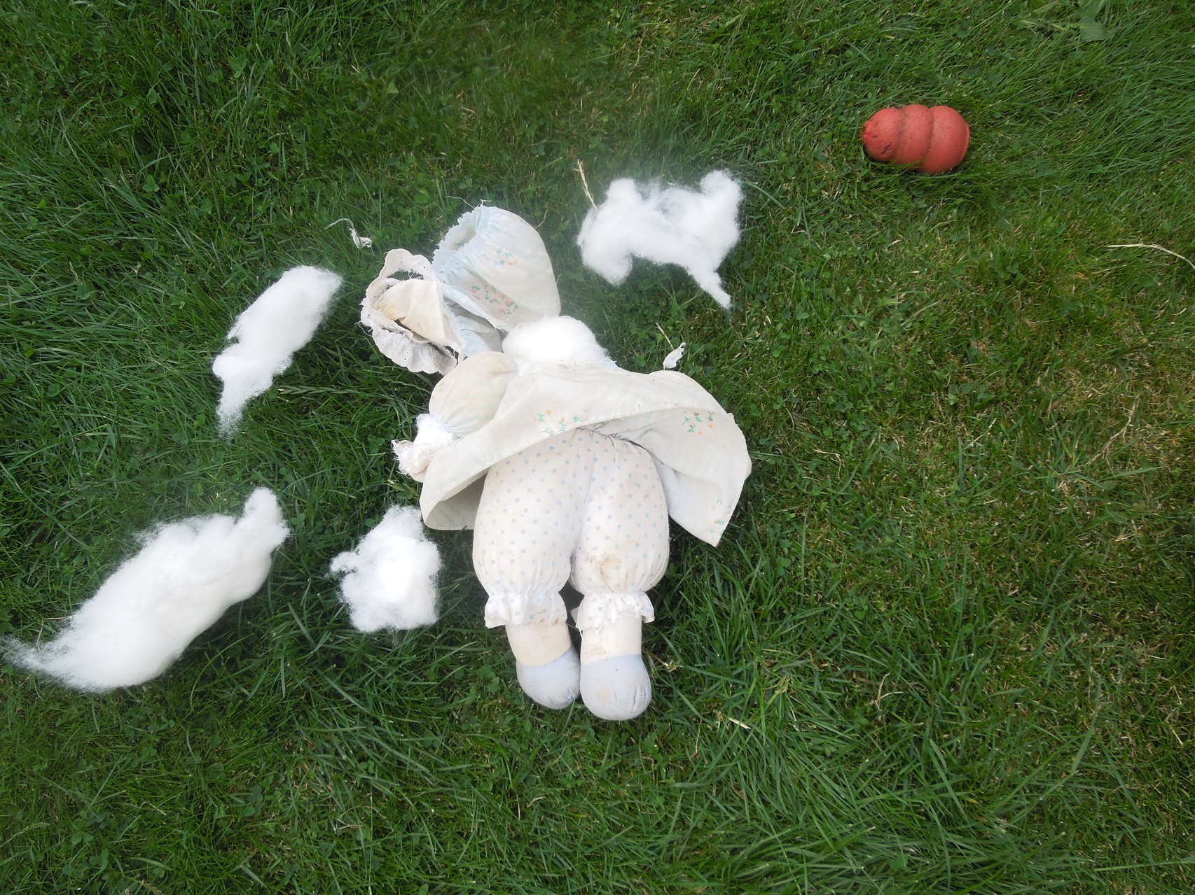 Some of the dog toys didn't survive!