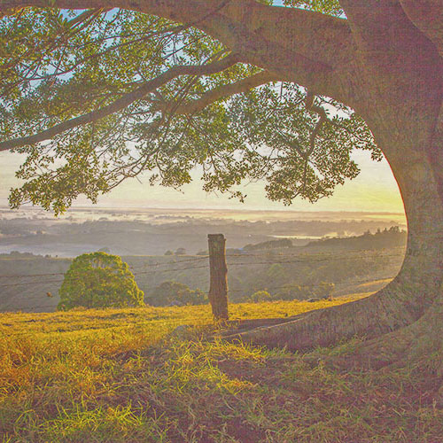 Photo on Timber Abandoned Cottage Knockrow
