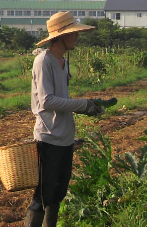 エスファームの無農薬野菜