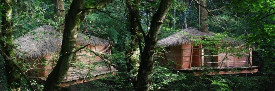 Cabane dans les arbres en Normandie