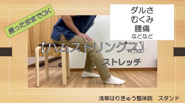 座ってできる【ハムストリングス】太もも裏