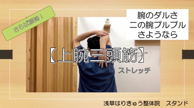 【上腕三頭筋】をストレッチ