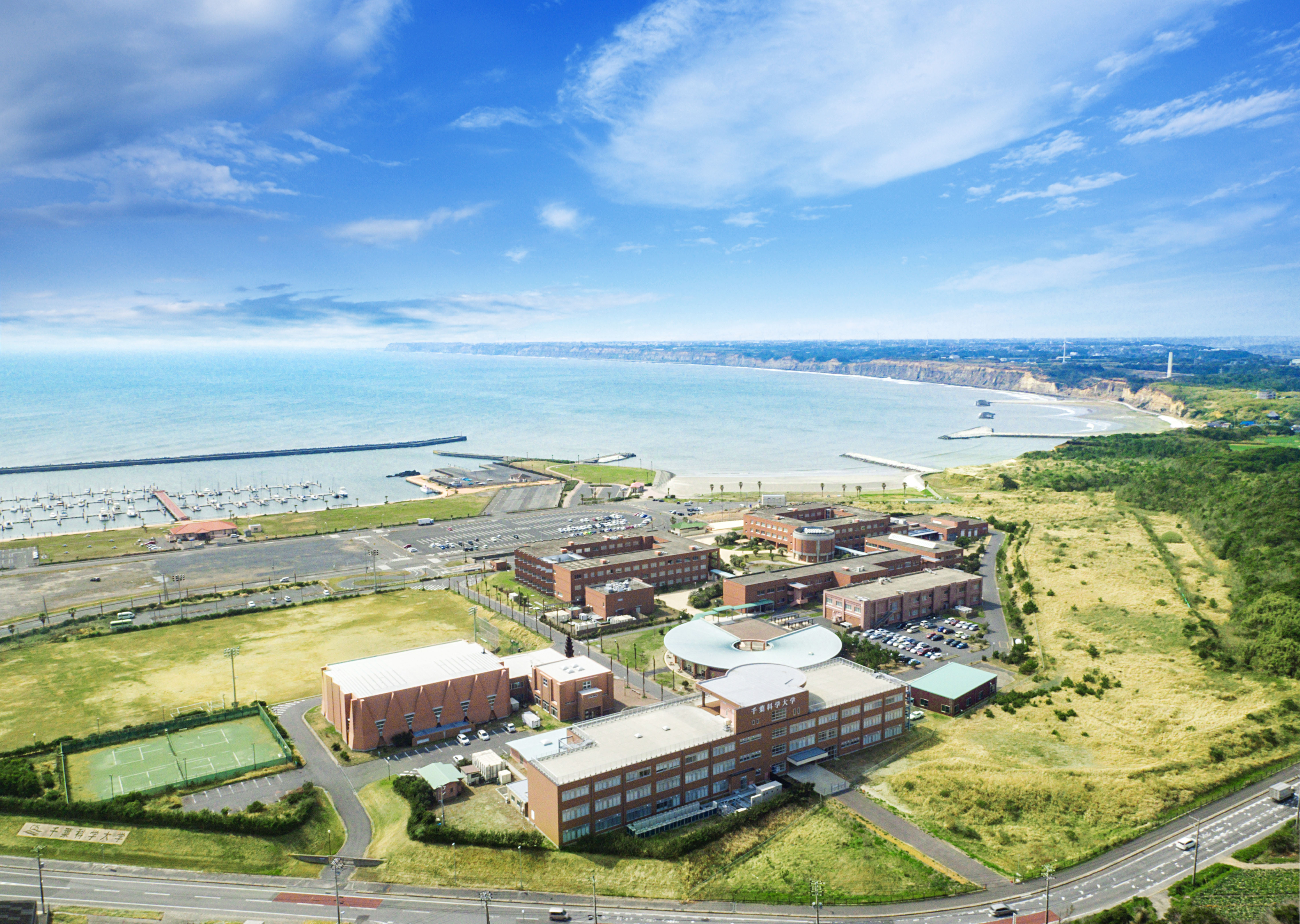 大学 千葉 科学