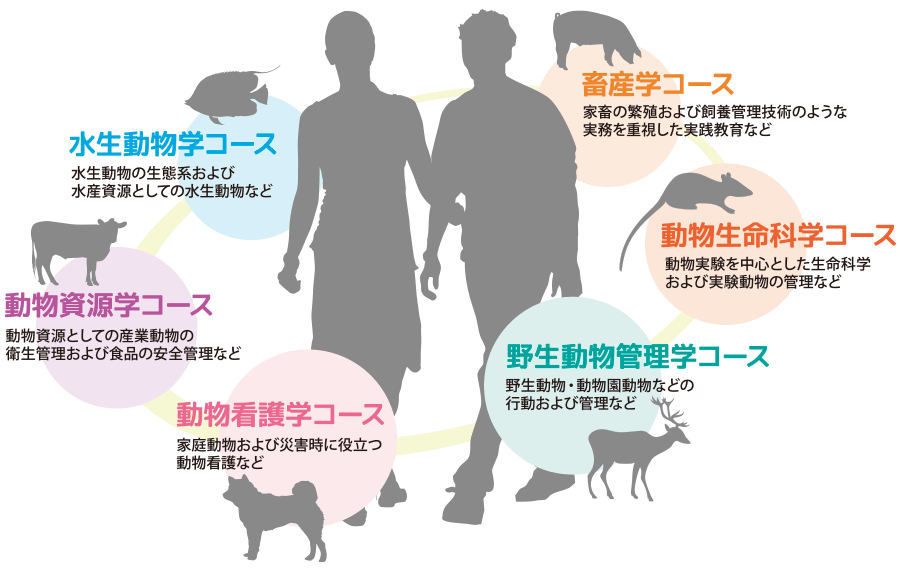 動物危機管理学科コース