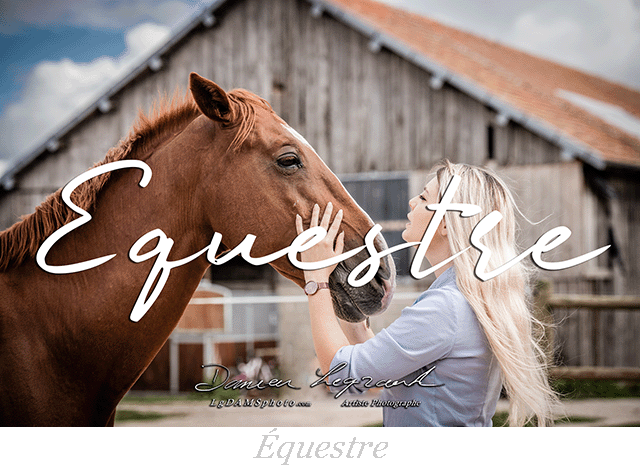 Shooting LgDAMSphoto "ÉQUESTRE" par Damien Legrand photographe à Cognac en Charente, Nouvelle-aquitaine lgdamsphoto.com