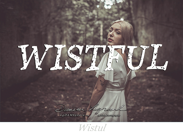 Shooting LgDAMSphoto "WISTFUL" par Damien Legrand photographe à Cognac en Charente, Nouvelle-aquitaine lgdamsphoto.com