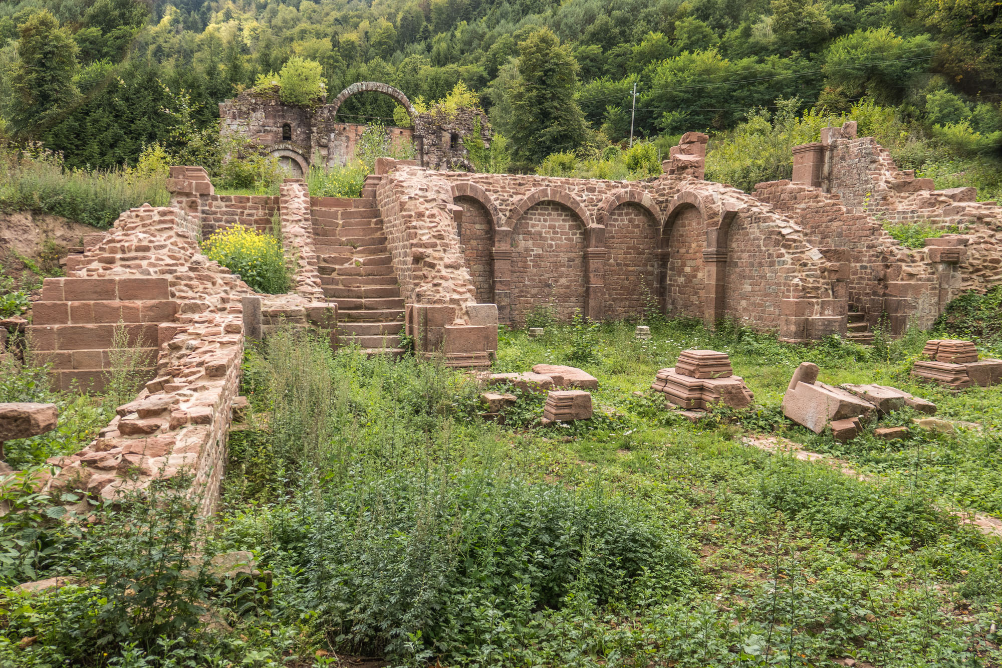 Les ruines de l'Abbaye de Niedermunster SchlossSpross