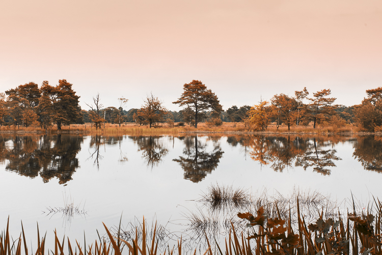 Indian summer Leersumse Plassen met reflectie in het water