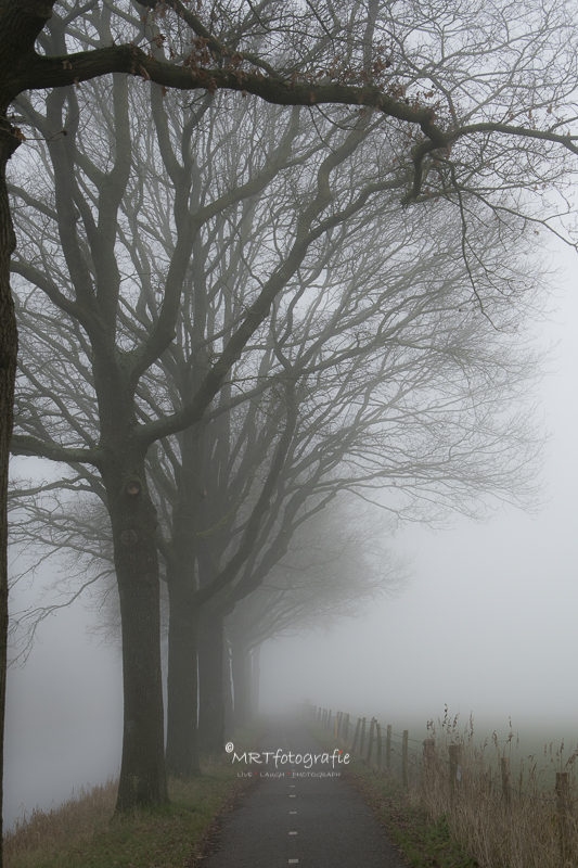 Een dichte compacte mist maakt een kleine wereld. Sluitertijd 1/60 sec., diafragma f/4, ISO 400