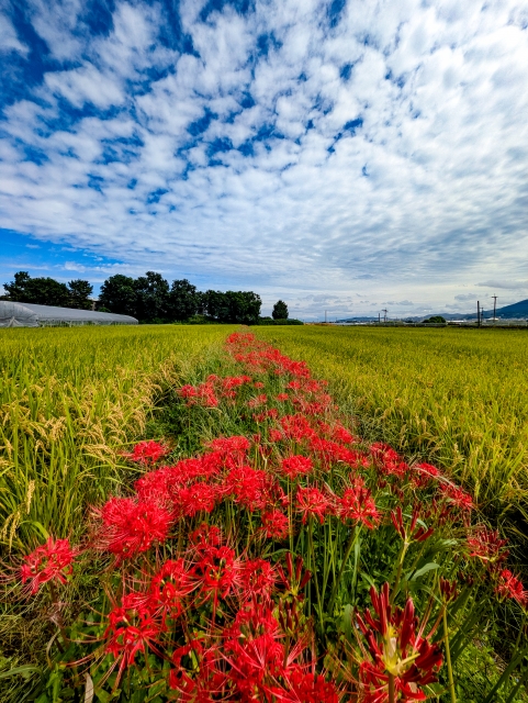（73）呼吸をゆったり～秋の空～