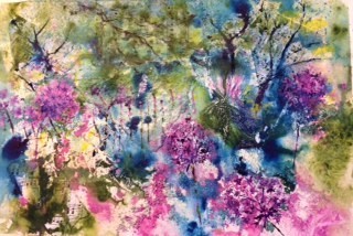 Pat Booth 'The colours of my garden'