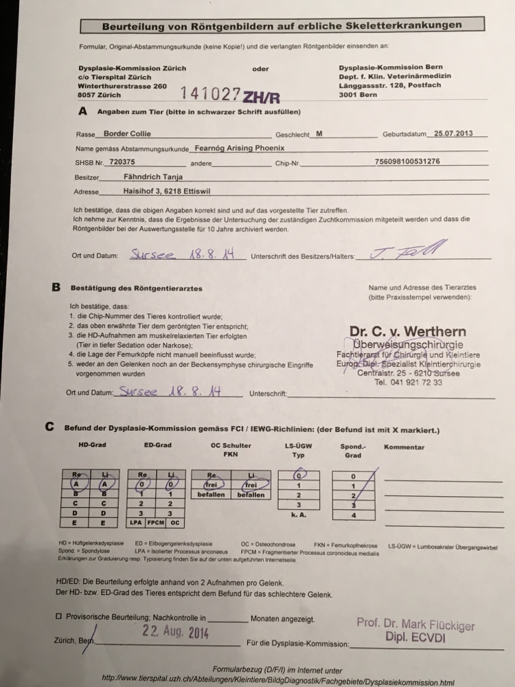 Offizielles Röntgen - Benvenuti su arising-phoenix!