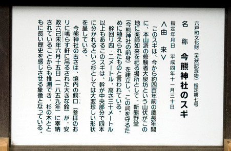解説