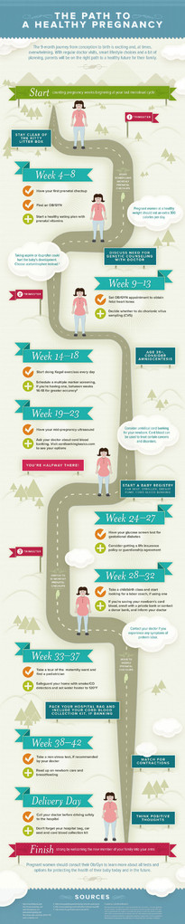 infografia embarazo meitoys