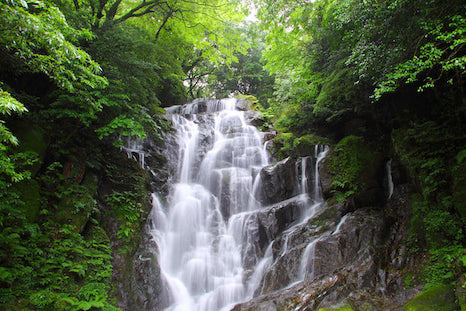 白糸の滝