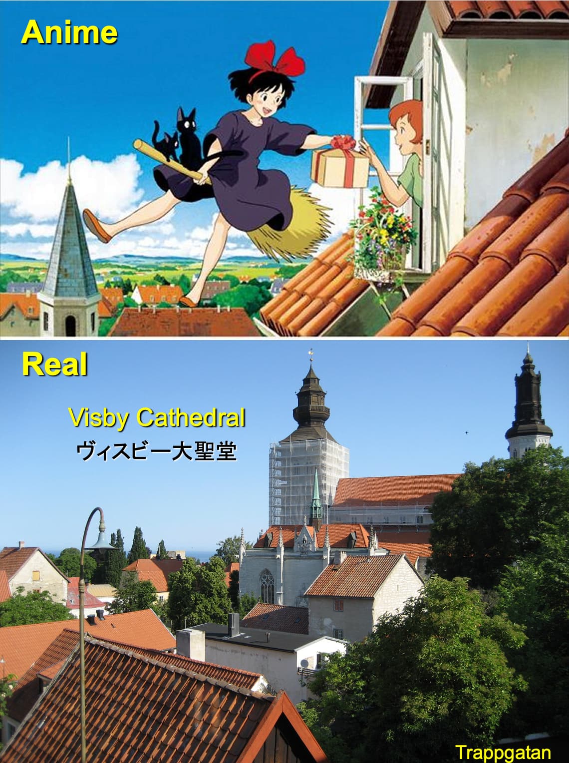 サンタマリア大聖堂とオレンジ色の屋根