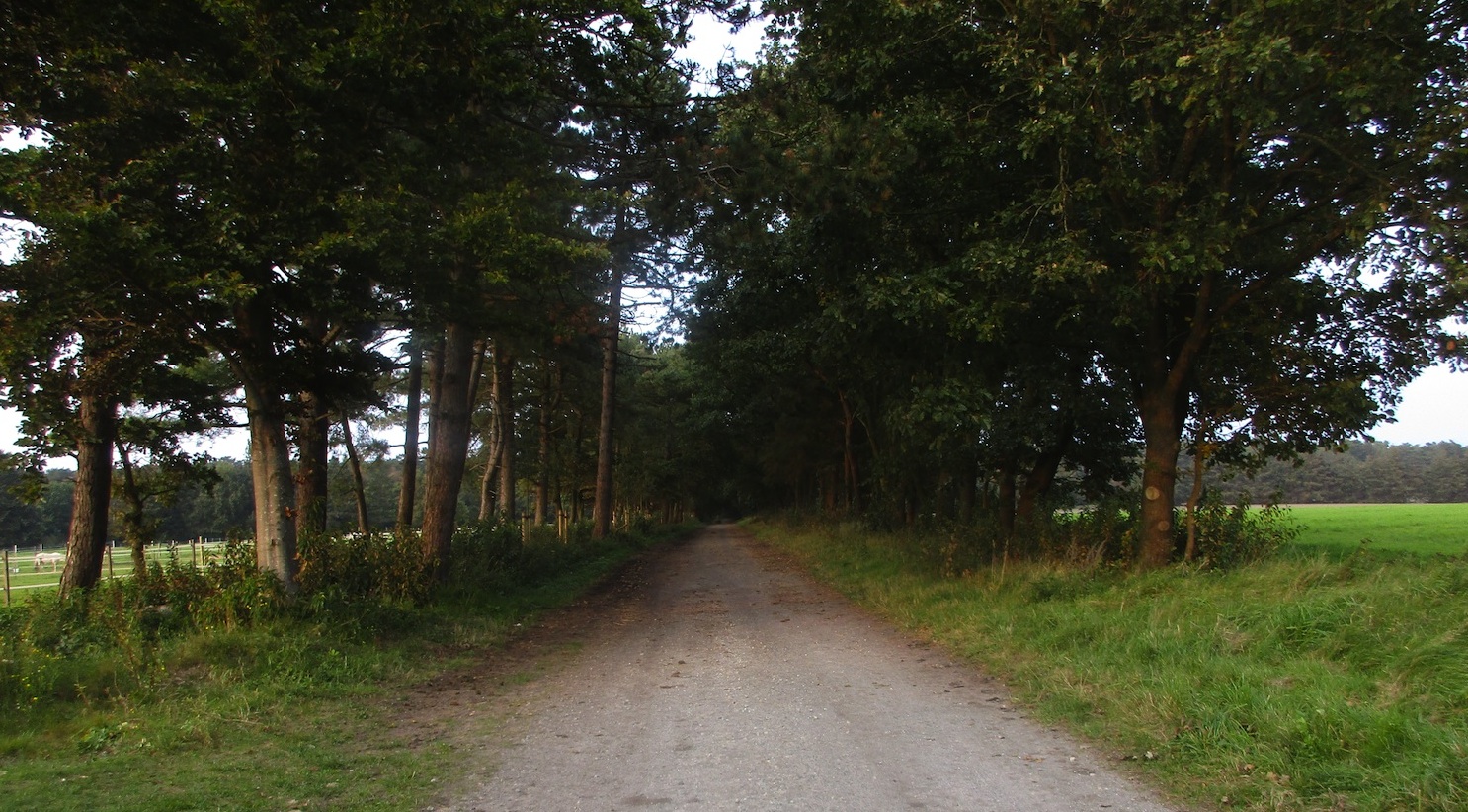 Ruhige Wander- und Fahrradwege warten auf Sie