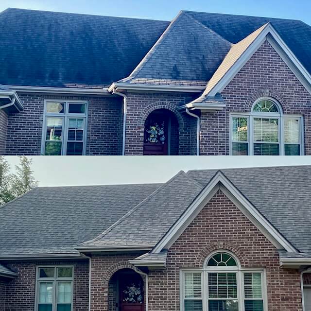 The Reason You Have Black Streaks On Your Roof