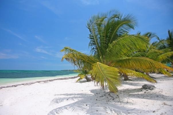 Sex and Vacation