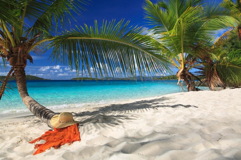 Solo vacation with sex include