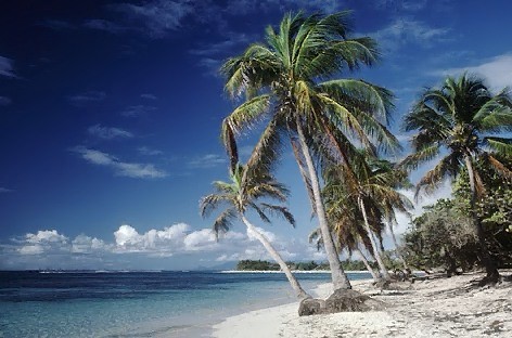 Singleurlaub mit Escorts