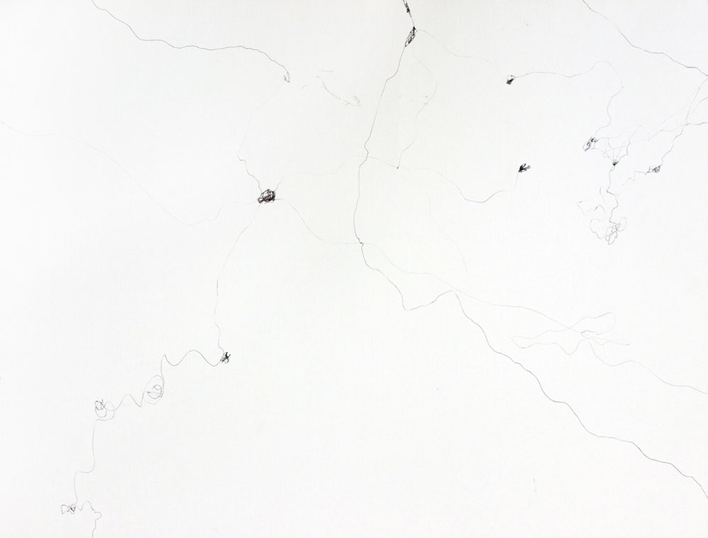 z/nefo2-33, Kugelschreiber auf Papier, 44 x 56 cm, Haider Al-Zubaidi, 2016