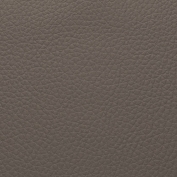 Tokyo Taupe