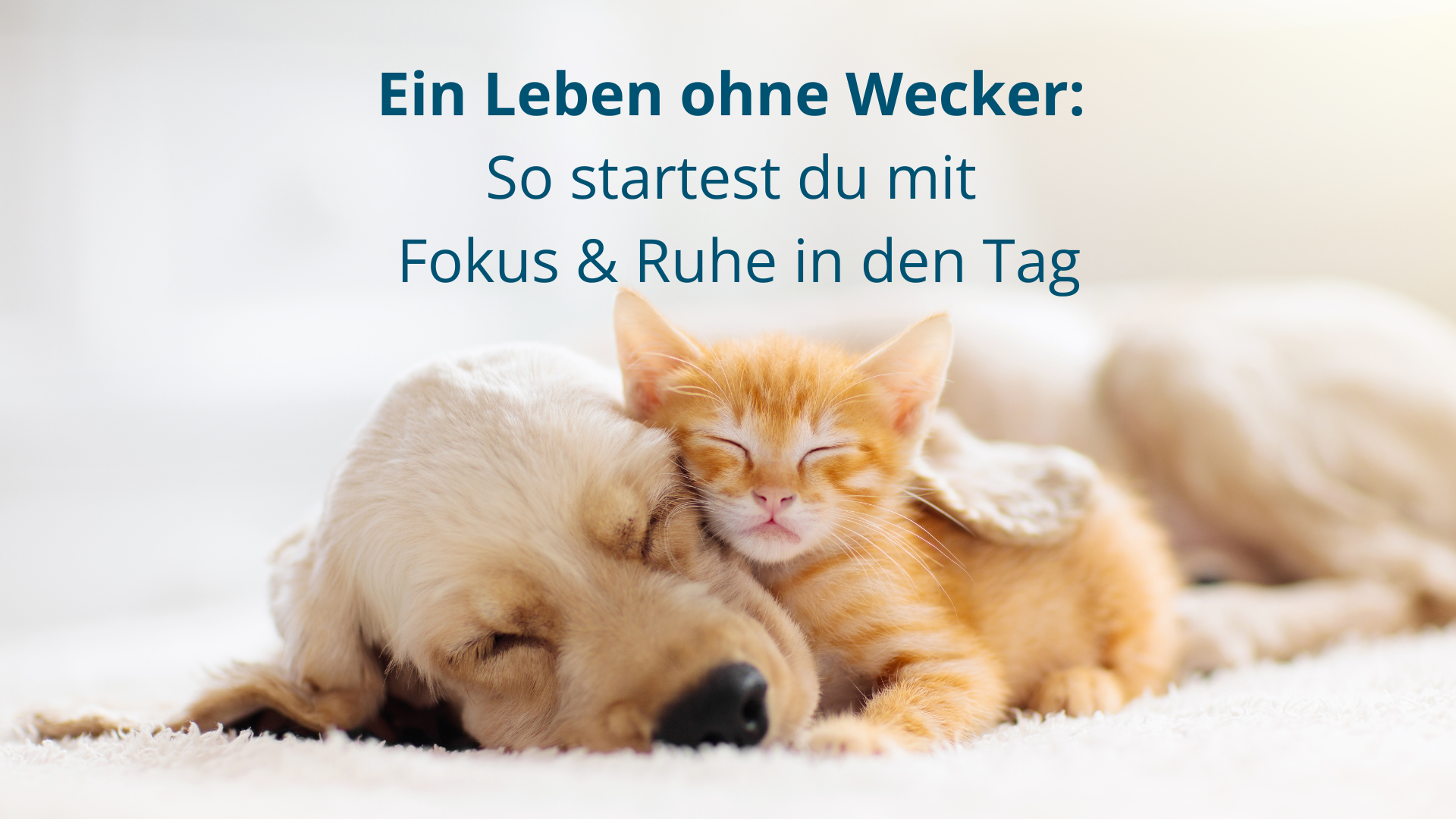Ein Leben ohne Wecker: So startest du mit Fokus und Ruhe in den Tag