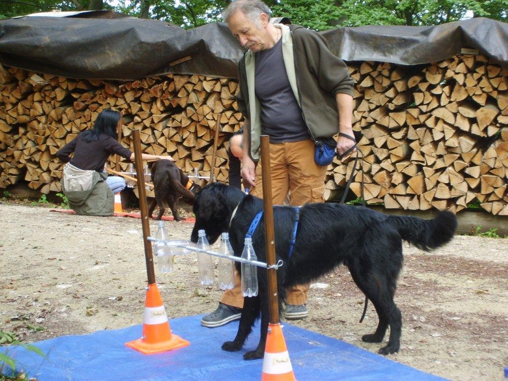 Thomas & Leon (Aufgabe PET-Flaschen)