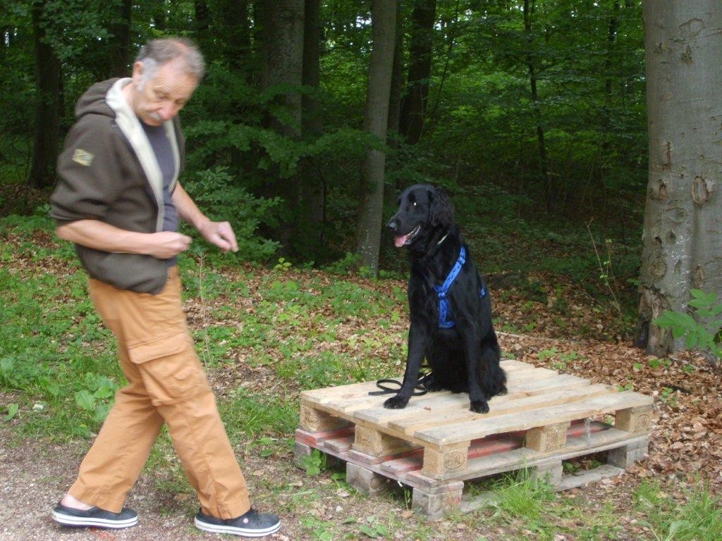 Thomas & Leon (Aufgabe Pal.)