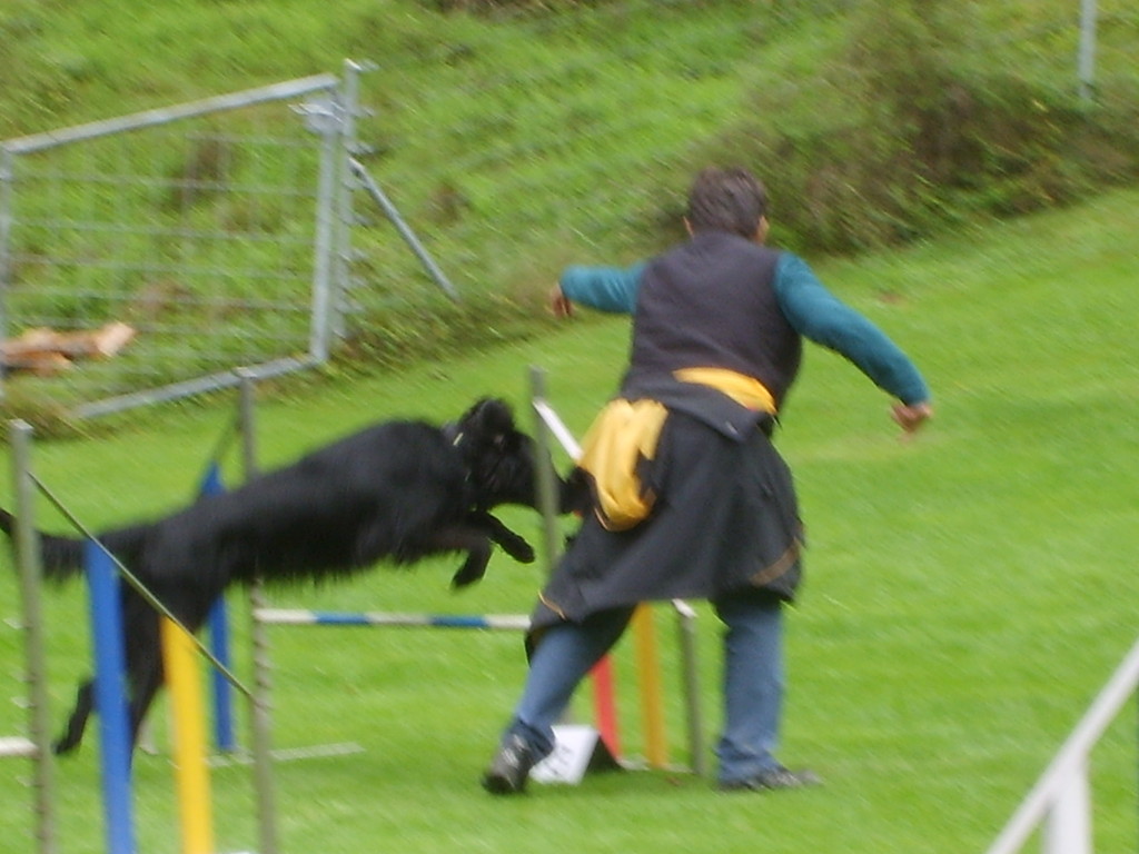 Ulla & Gerry (Agility)