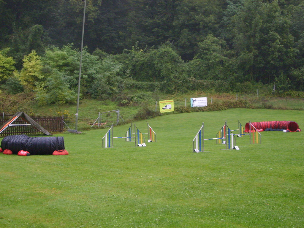 Hauptfeld Hundeschule Ittingen