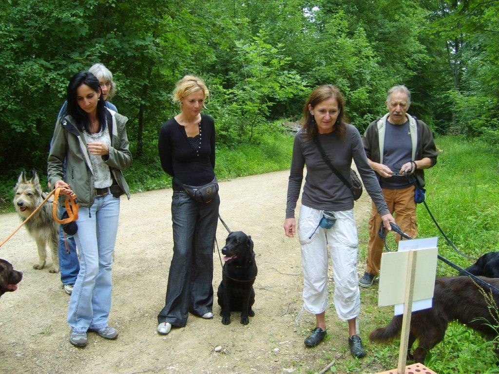 Besprechung der Aufgabe