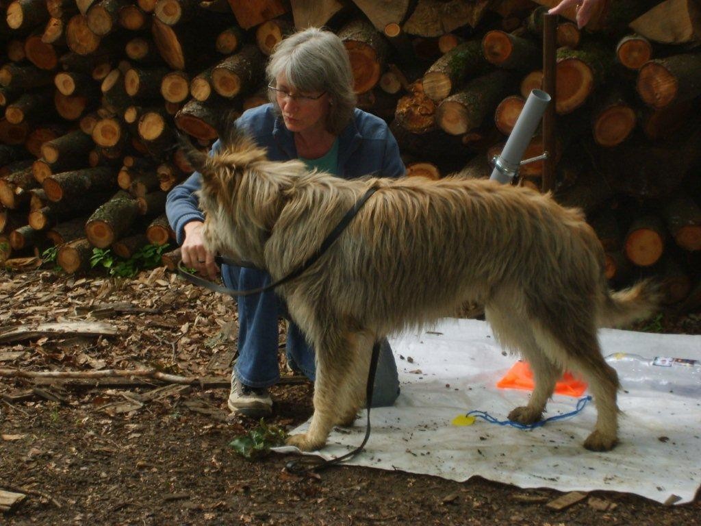 Barbara & Leiko (Aufgabe Rohr)